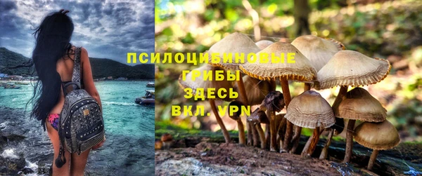 эйфоретик Белоозёрский